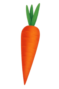 Carrot