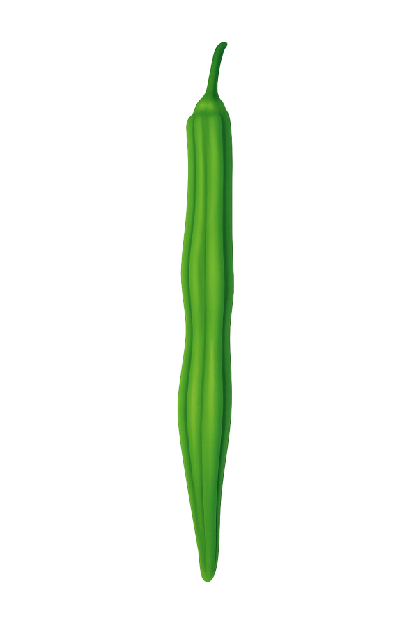 Drum Stick